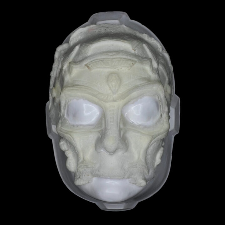 FBIOH Facial Biomechanic