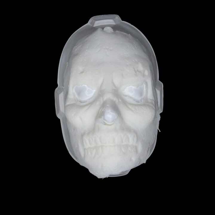 FCZ Facial Calavera Zombie