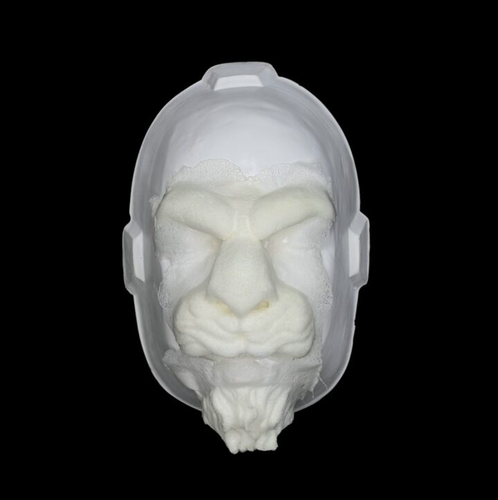 FF1 Facial Felino 1