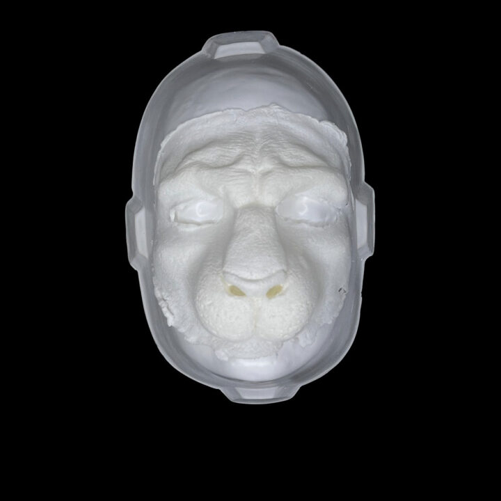 FF2 Facial Felino 2
