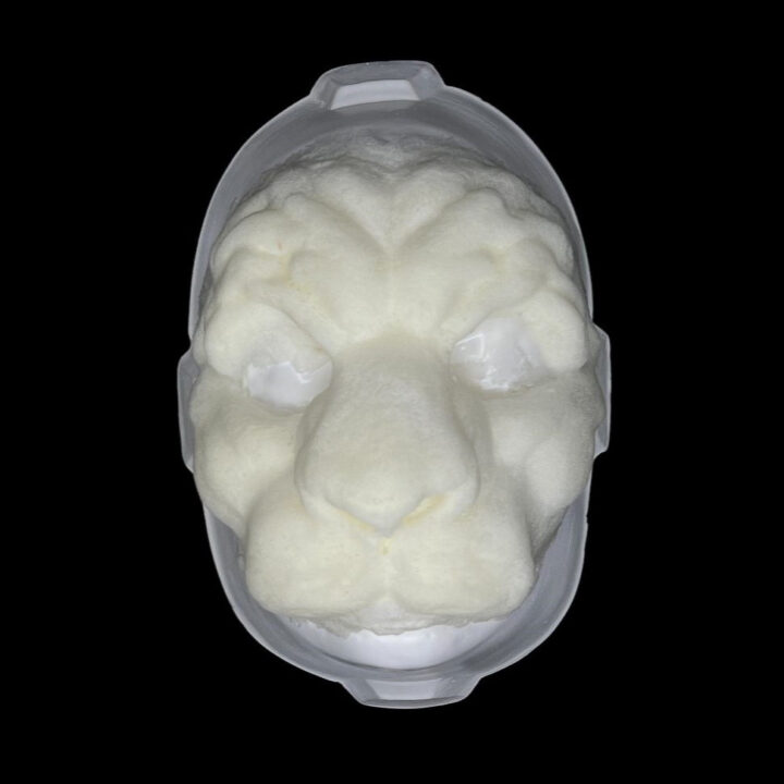 FF3 Facial Felino 3