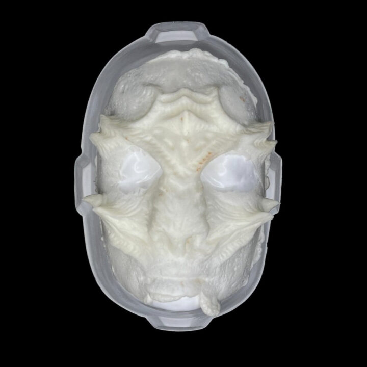 FM2 Facial Marino 2