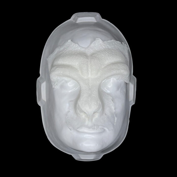 FR2 Facial Reptil 2