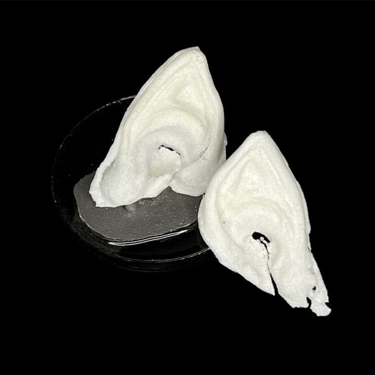 OPE1 Orejas Puntudas (Para Encajar)