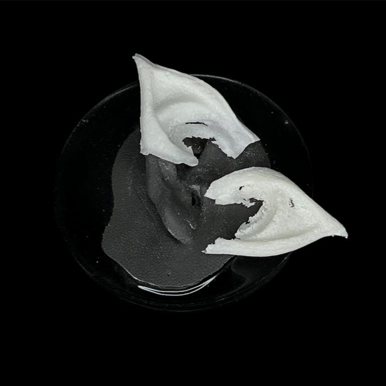 OPE4 Extensión de Orejas Puntudas (Para Encajar)