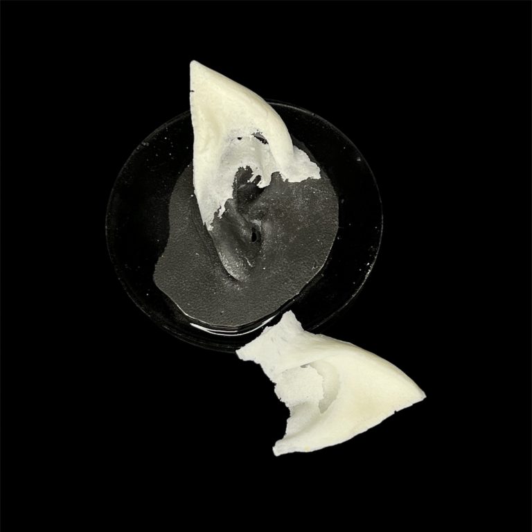 OPE6 Extensión de Orejas Felinas (Para Encajar)