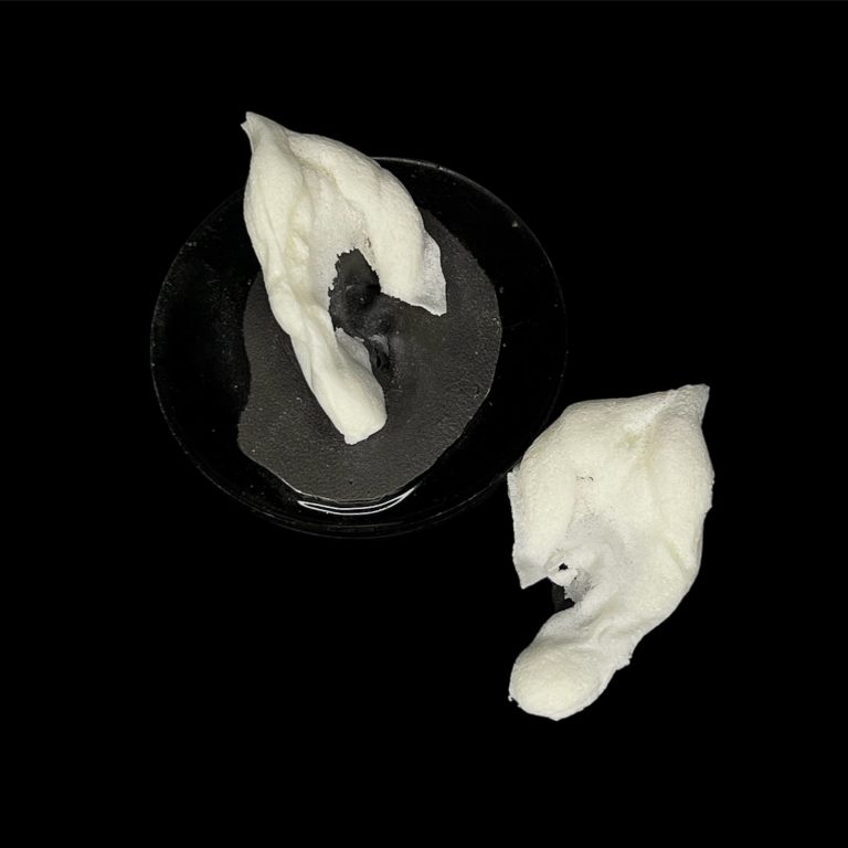 OPE8 Orejas de Perro (Para Encajar)