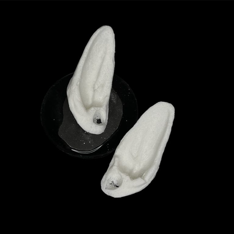 OPP1 Orejas Curvas (Para Pegar)