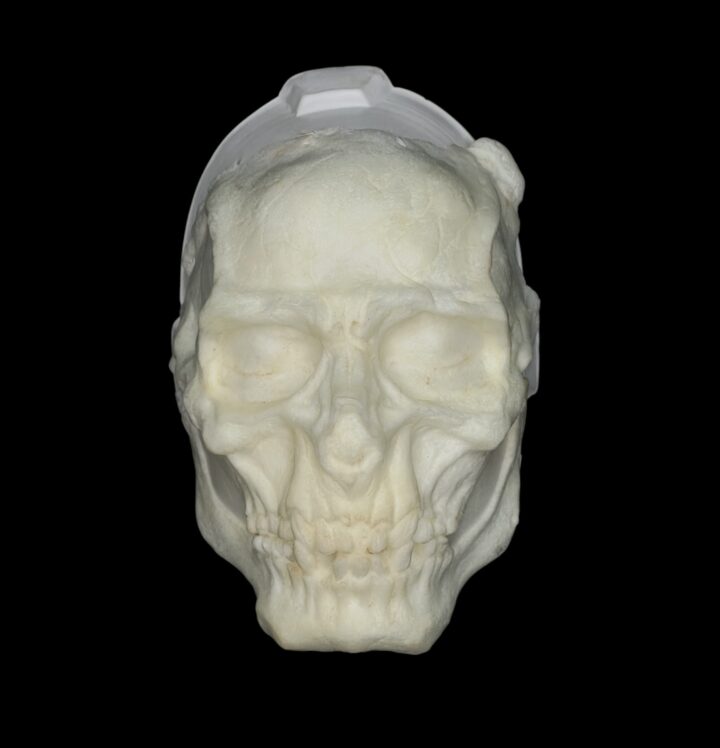 FCA Facial Calavera