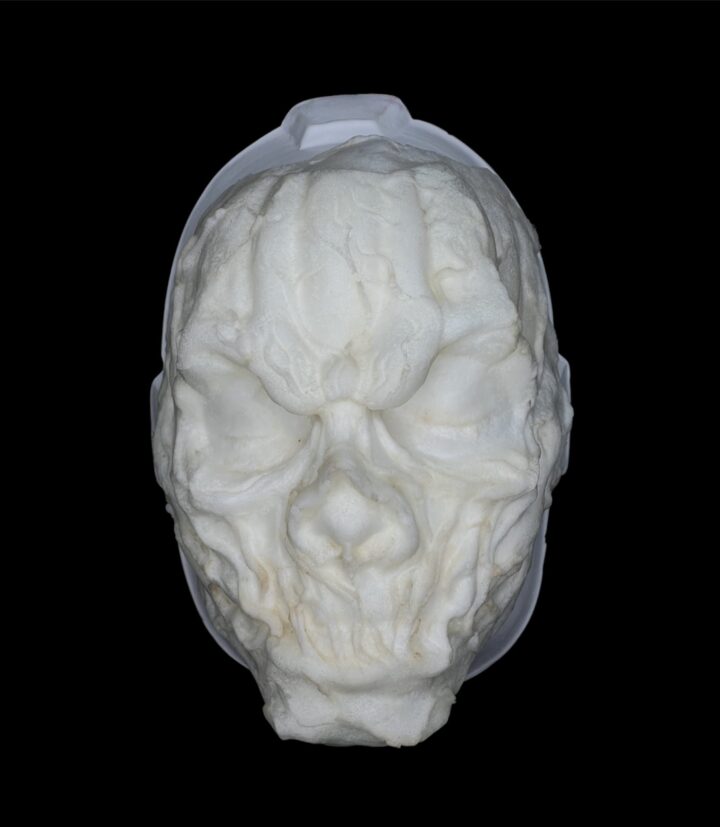 FCA2 Facial Calabaza Calavera