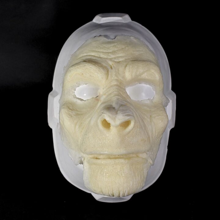 FSIM Facial Simio con Mentón