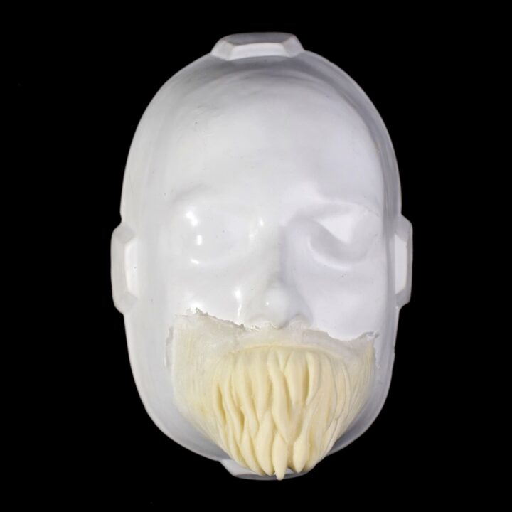 MTON3 Mentón Felino 1